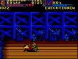 Pit Fighter