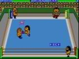 Pro Wrestling