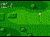 Sega World Tournament Golf