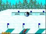 Winter Olympics - Lillehammer '94