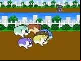 Hamster Monogatari 64