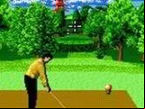 Ernie Els Golf