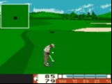 PGA Tour 96