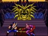 Double Dragon V - The Shadow Falls