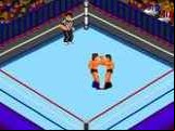 Fire Pro Wrestling 2 - 2nd Bout