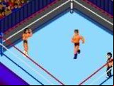 Fire Pro Wrestling - Combination Tag