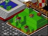 Populous