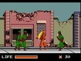 The Ninja Warriors