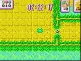 Turbo Turtle Adventure