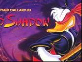 Maui Mallard in Cold Shadow