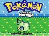 Pokemon Naranja