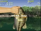 Action Bass