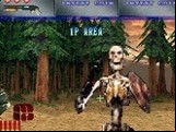 Crypt Killer