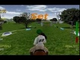 Equestrian Showcase