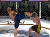 Ultimate Fighting Championship