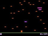 Centipede