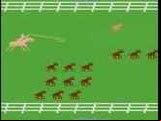 Stampede