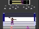 Title Match Pro Wrestling