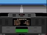 Tomcat - The F-14 Flight Simulator