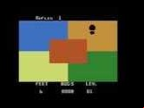 Video Reflex