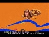 Desert Falcon