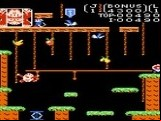 Donkey Kong Jr