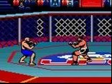 Ultimate Fighting Championship