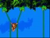 Tarzan