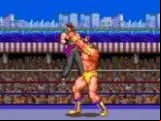 Ultimate Fighter