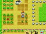 Harvest Moon - Friends of Mineral Town
