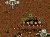Battle Field