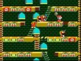 Mr. Do's Castle