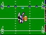 Gridiron Fight