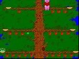 Pig Newton