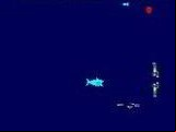 Shark Attack