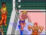 Wrestle War