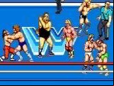 WWF Superstars
