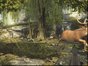 Big Bucks