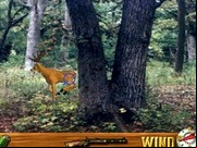 Deer Hunting USA V4.3