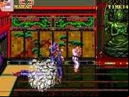 Double Dragon 3 - The Rosetta Stone (US)