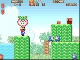 Super Mario Advance
