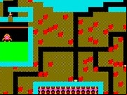 The Pit