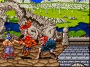 Wild Fang / Tecmo Knight
